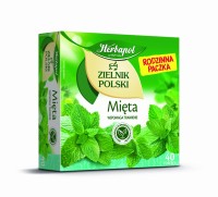Tea Zielnik Mint Family Pack 40*2g Herbapol