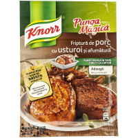 Seasonig for Roasted Pork 29g Knorr