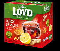 Loyd Warming Tea Ginger Lemon Honey 20X2G Mokate
